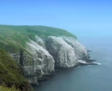 Cape St. Mary's